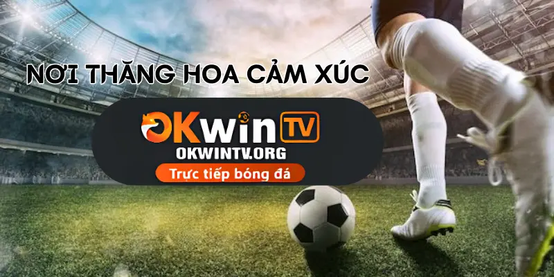OKWINTV trực tiếp bóng đá miễn phí, chất lượng cao không giật lag